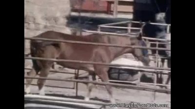 Classic Porn Dvds – An Outdoor Sex With A Hidden Viewer Francaise Video