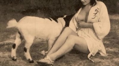 Dark Lantern Entertainment – Vintage Taboo Pussy And Pooch Italy Video